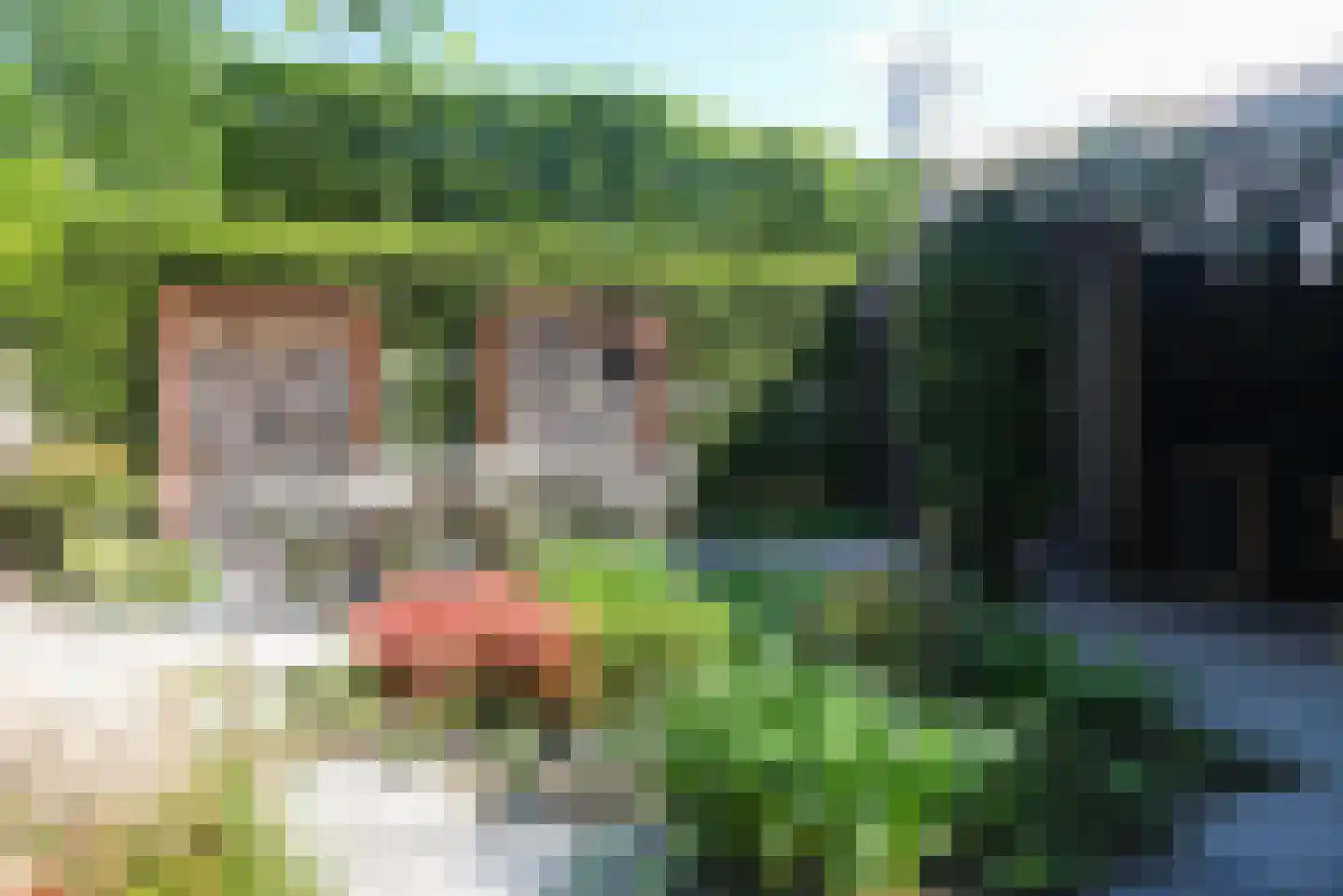 Zocherlaan 66 Bloemendaal thumbnail 59