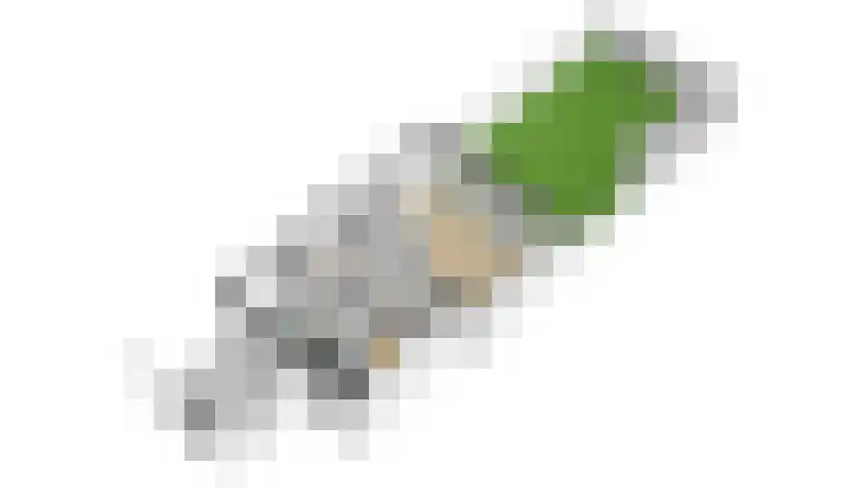 Zocherlaan 66 Bloemendaal thumbnail 68