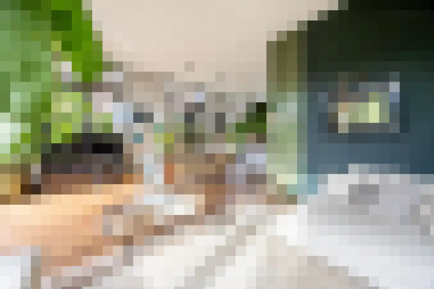 Zocherlaan 8 Bloemendaal thumbnail 10