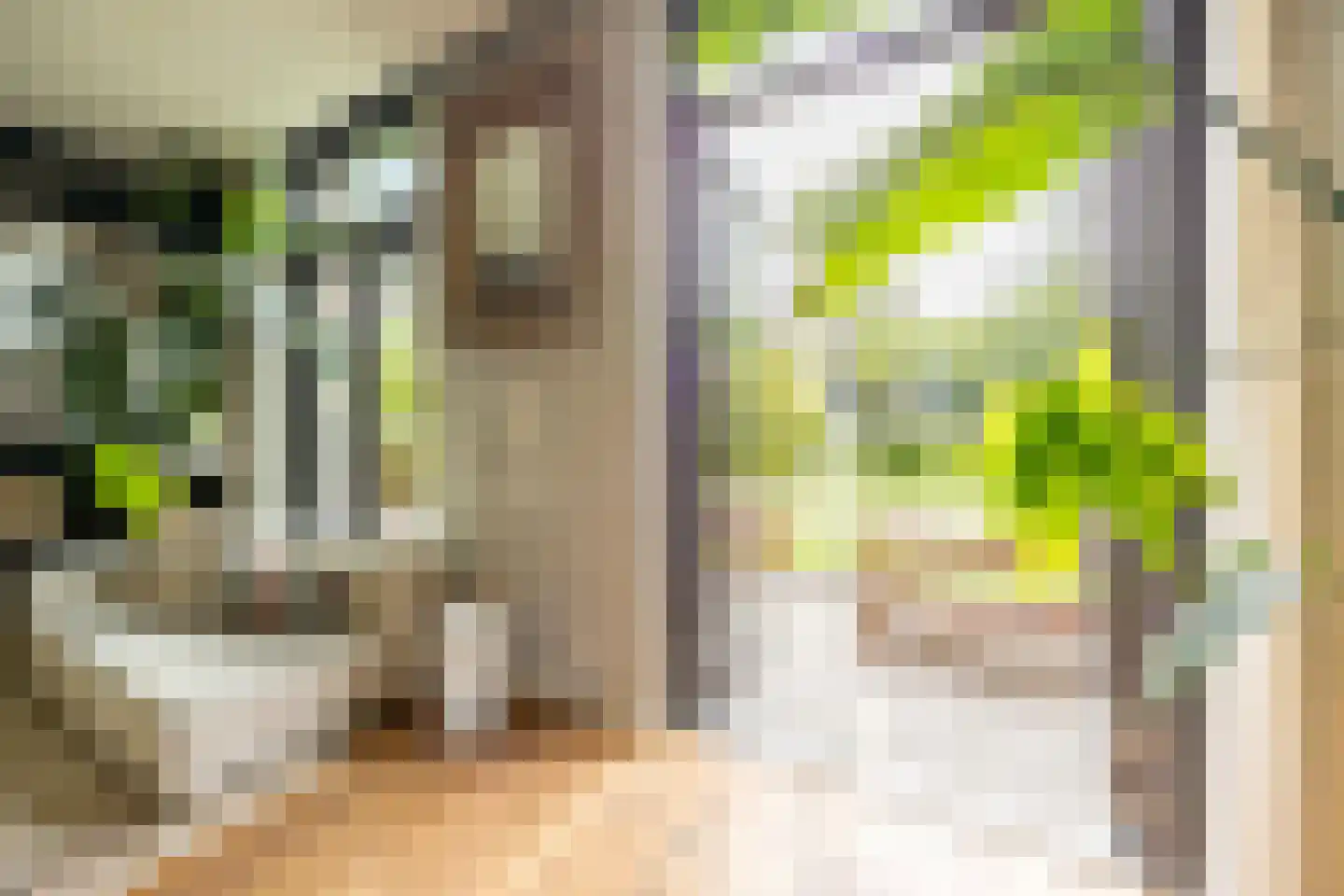 Zocherlaan 8 Bloemendaal thumbnail 13