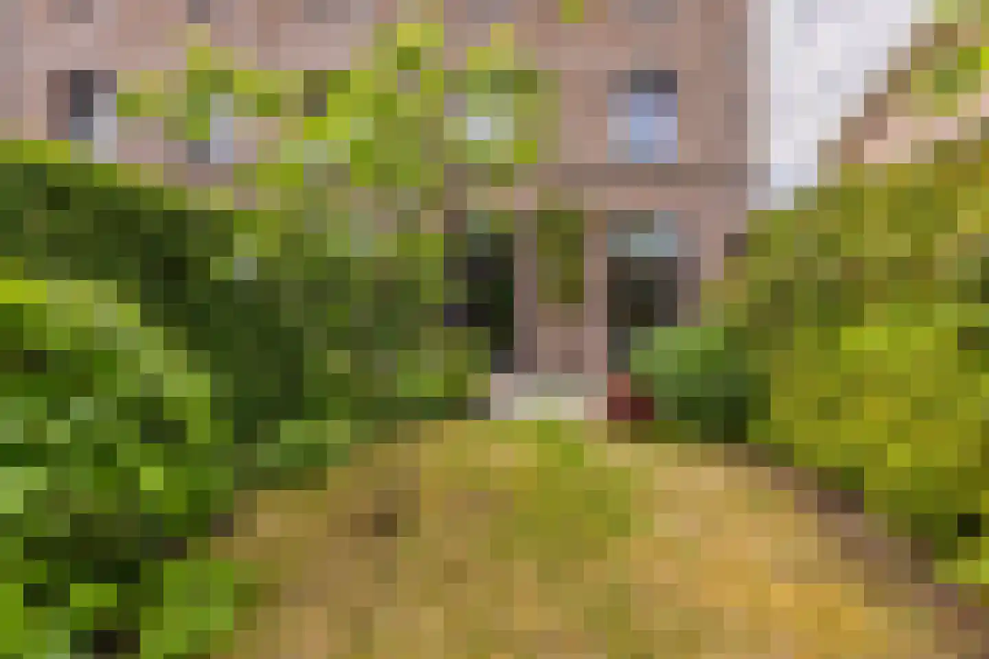 Zocherlaan 8 Bloemendaal thumbnail 14
