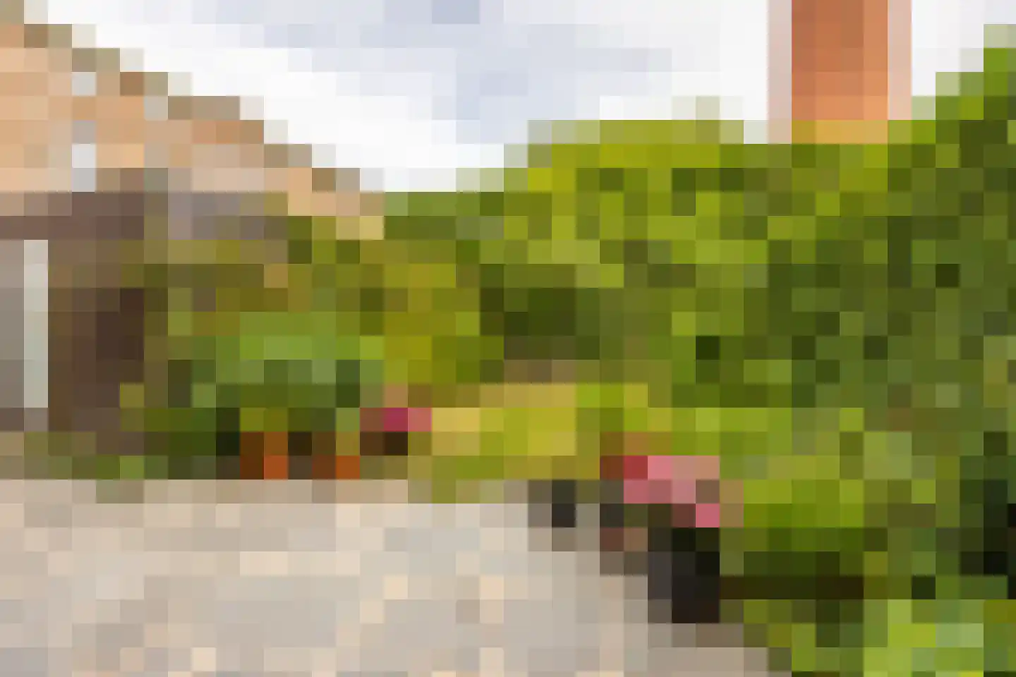 Zocherlaan 8 Bloemendaal thumbnail 15