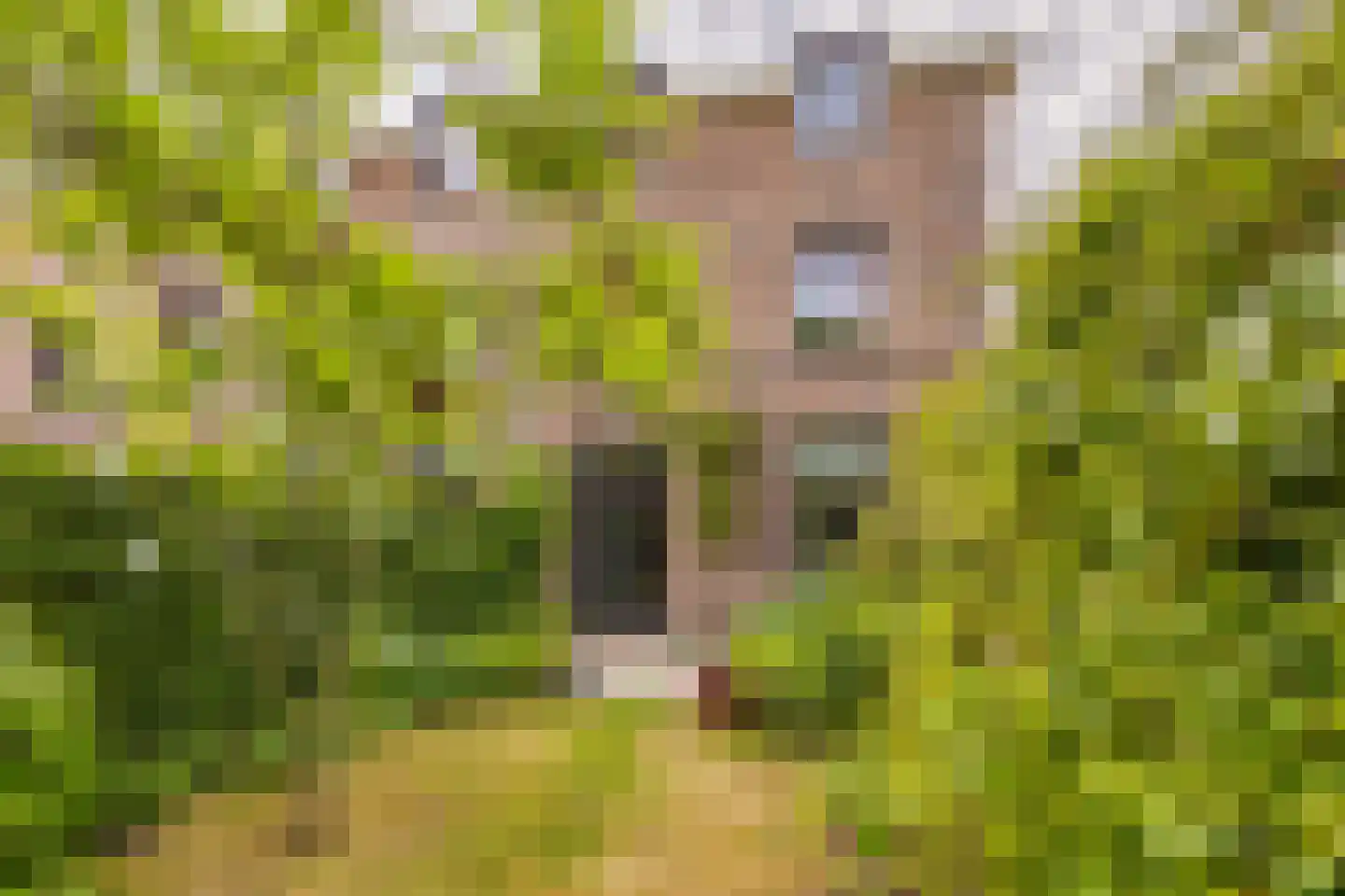 Zocherlaan 8 Bloemendaal thumbnail 16