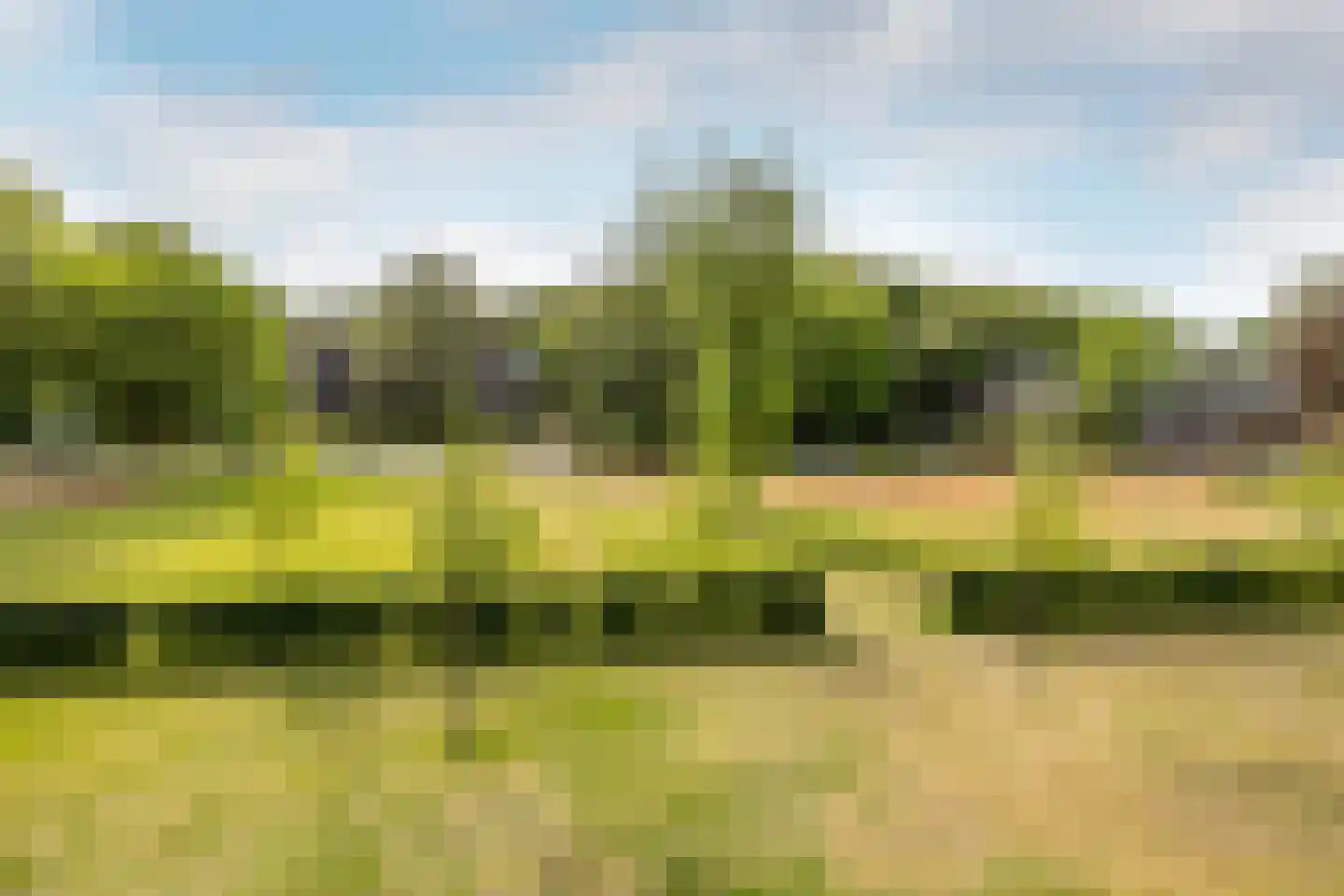 Zocherlaan 8 Bloemendaal thumbnail 18