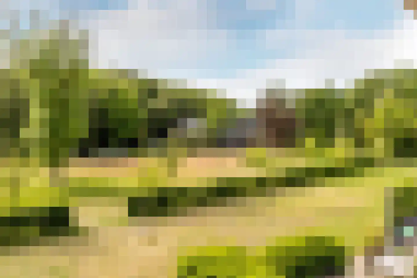 Zocherlaan 8 Bloemendaal thumbnail 23