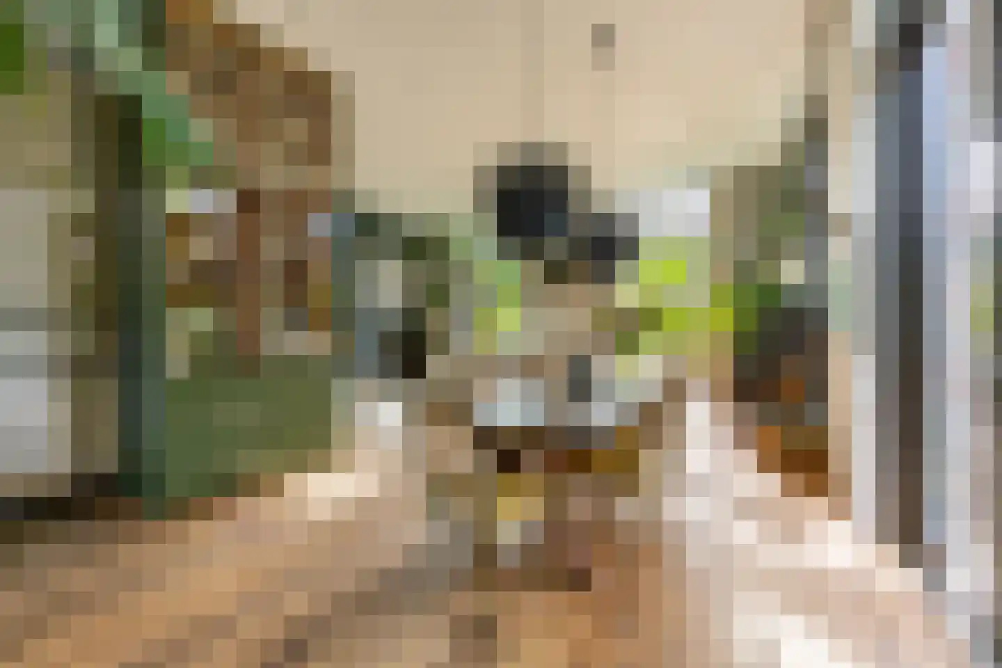 Zocherlaan 8 Bloemendaal thumbnail 5