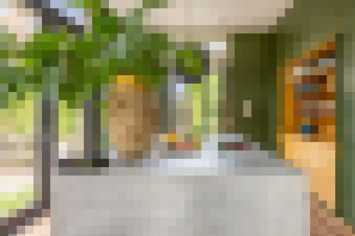 Zocherlaan 8 Bloemendaal thumbnail 6