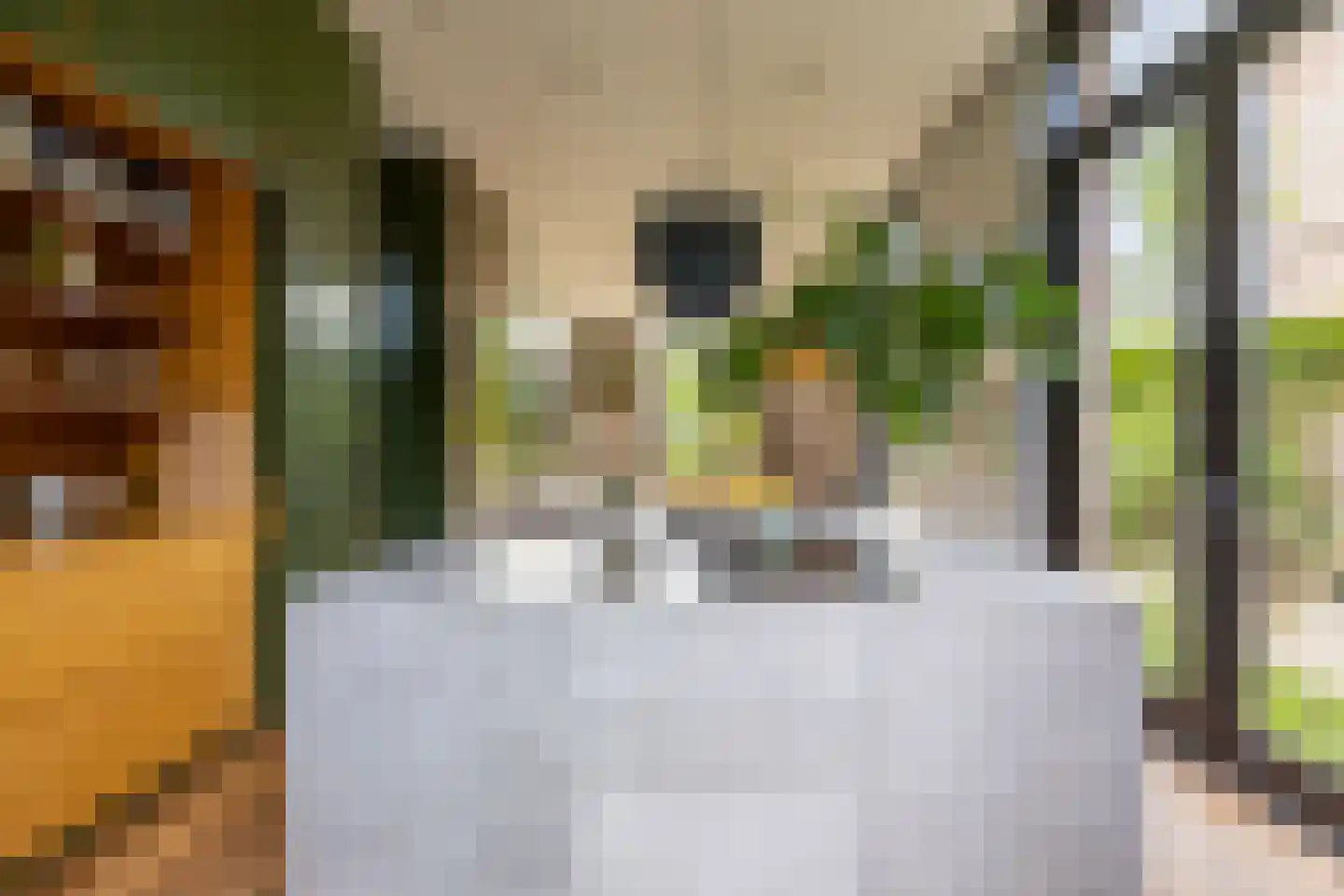 Zocherlaan 8 Bloemendaal thumbnail 7