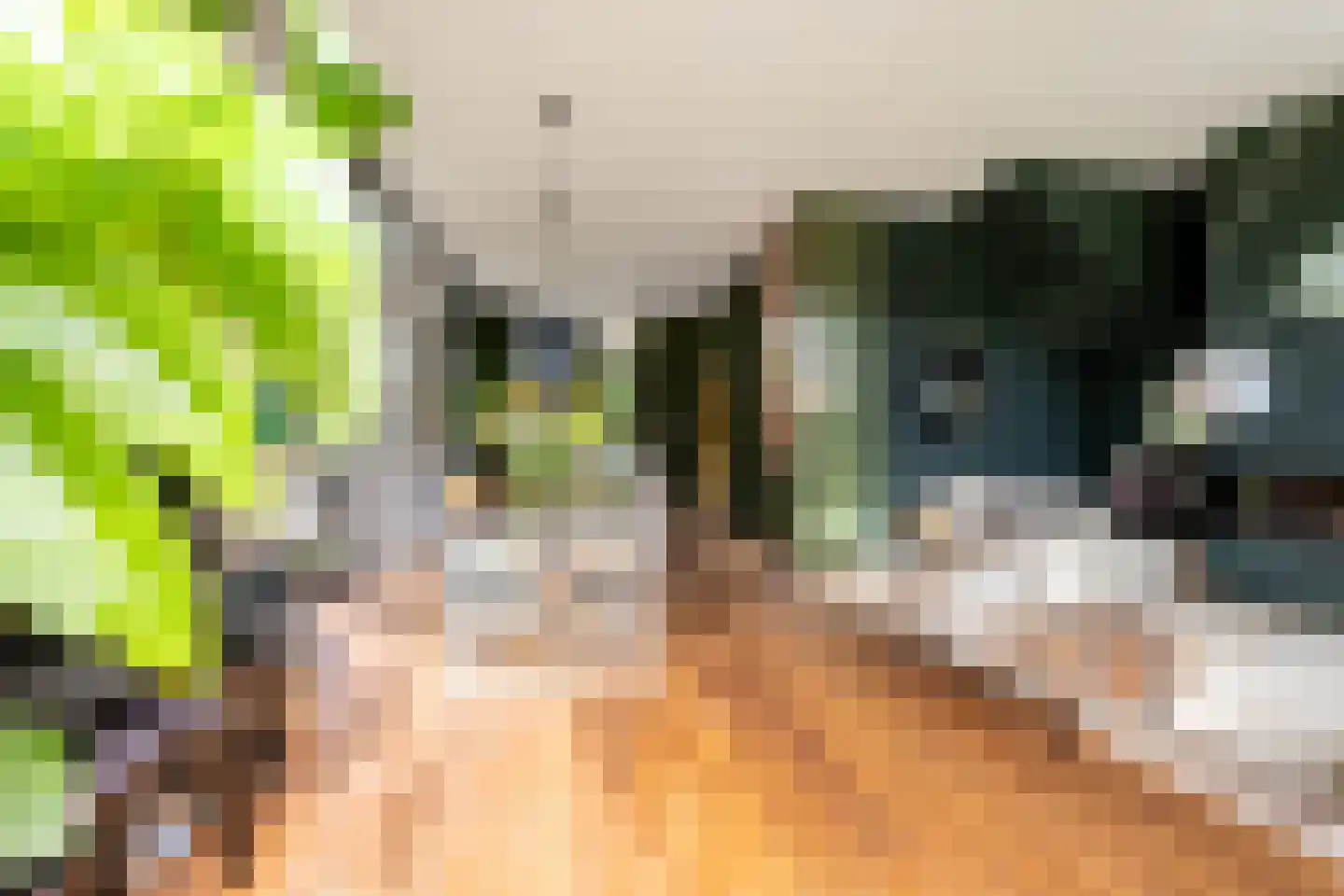 Zocherlaan 8 Bloemendaal thumbnail 8