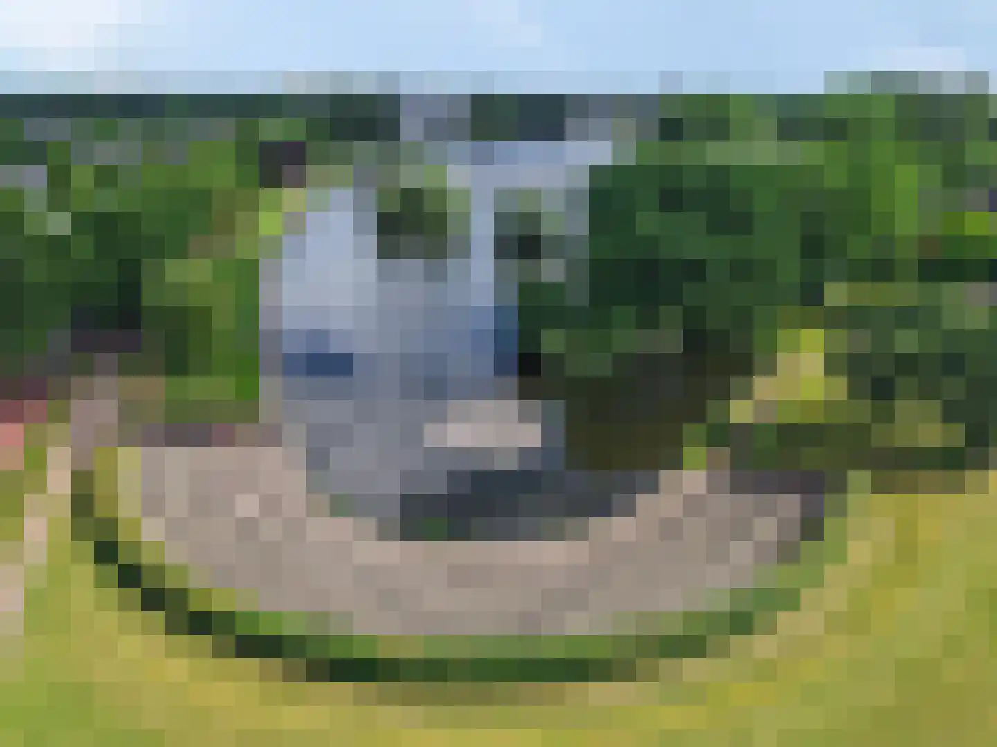 Zocherpad 22 Amersfoort thumbnail 10