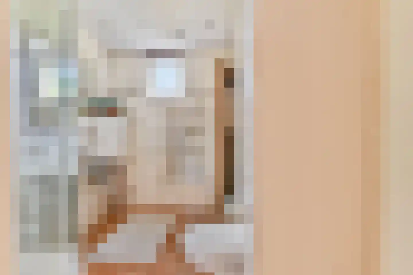 Zocherpad 22 Amersfoort thumbnail 25