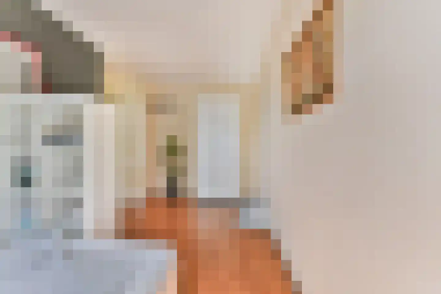 Zocherpad 22 Amersfoort thumbnail 29