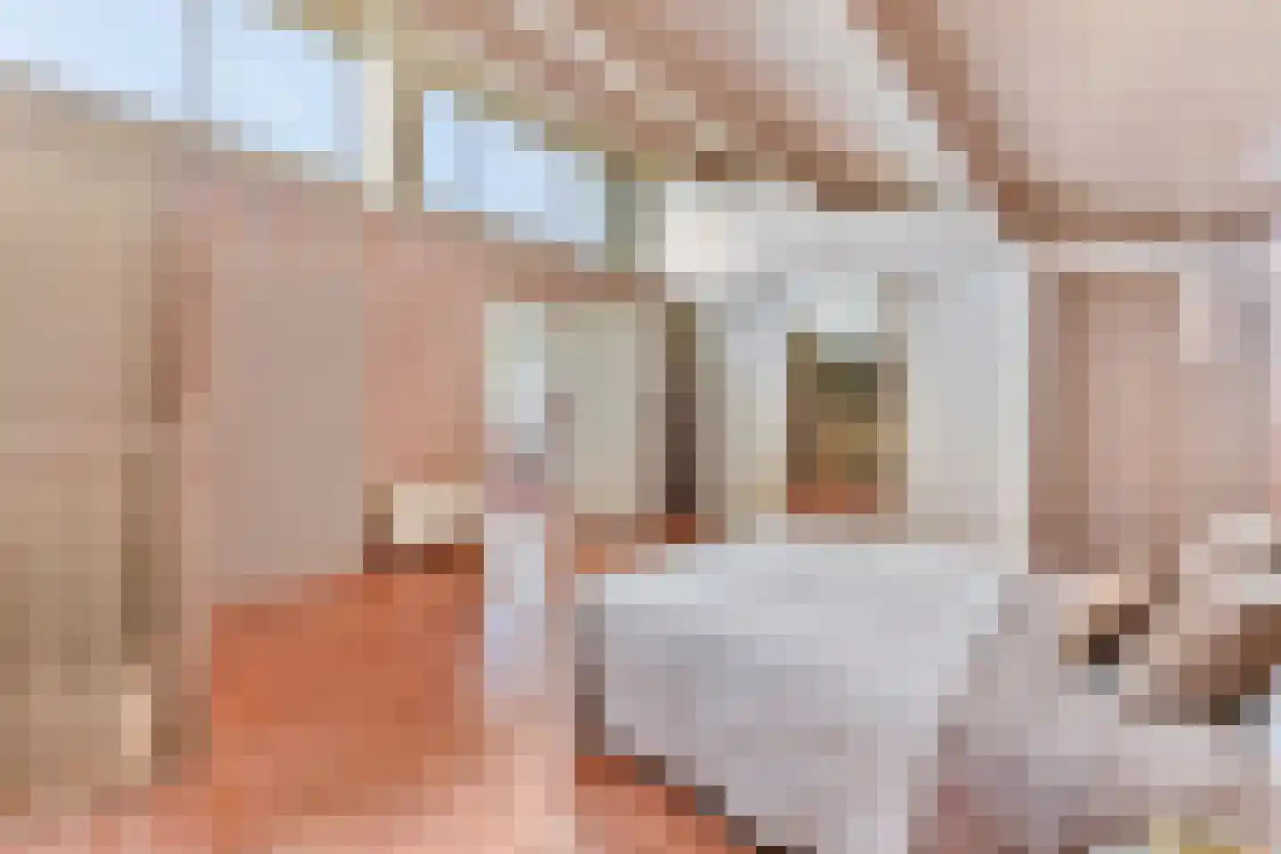 Zocherpad 22 Amersfoort thumbnail 34