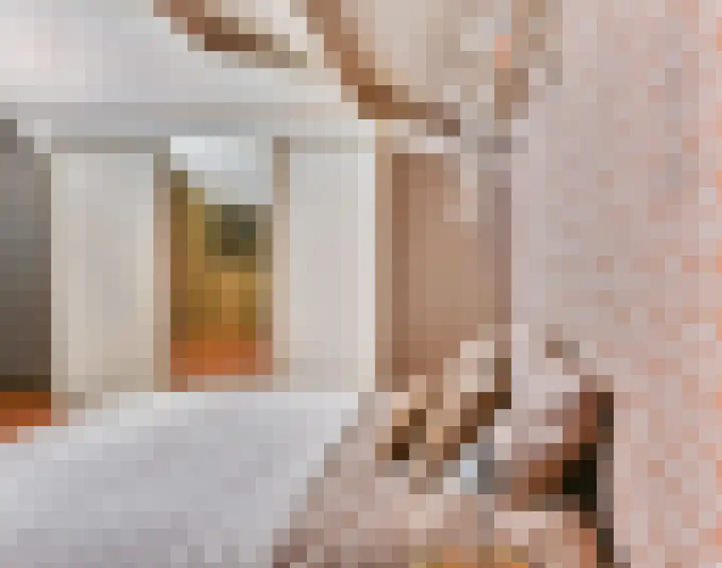 Zocherpad 22 Amersfoort thumbnail 35