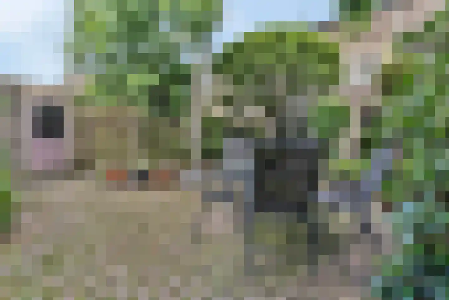 Zocherpad 22 Amersfoort thumbnail 44