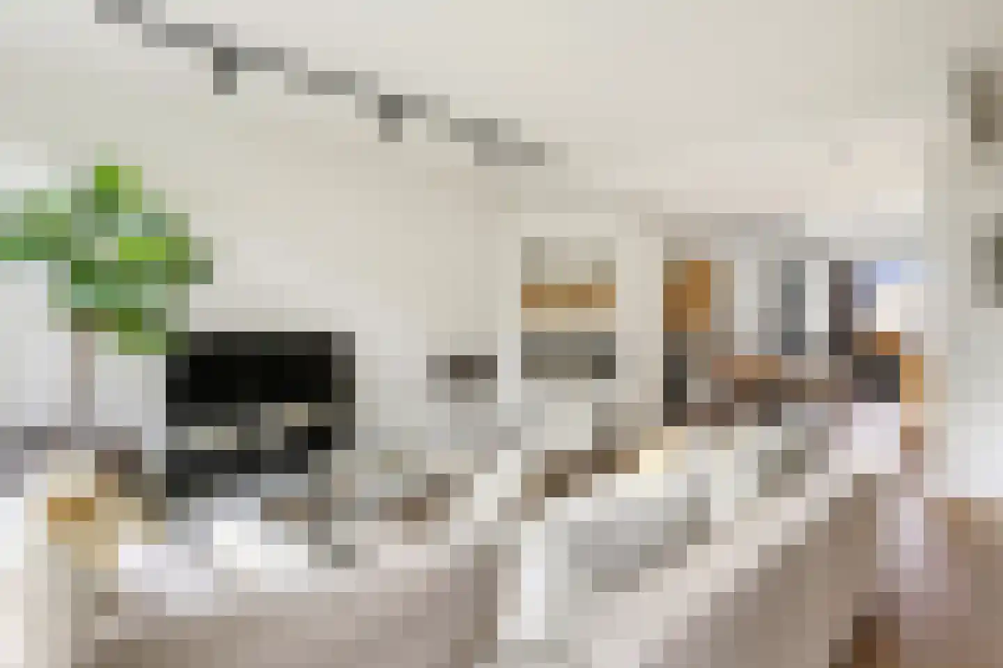 Zocherstraat 14 2 Amsterdam thumbnail 6