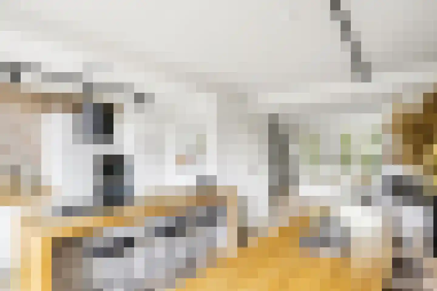 Zocherstraat 14 2 Amsterdam thumbnail 8