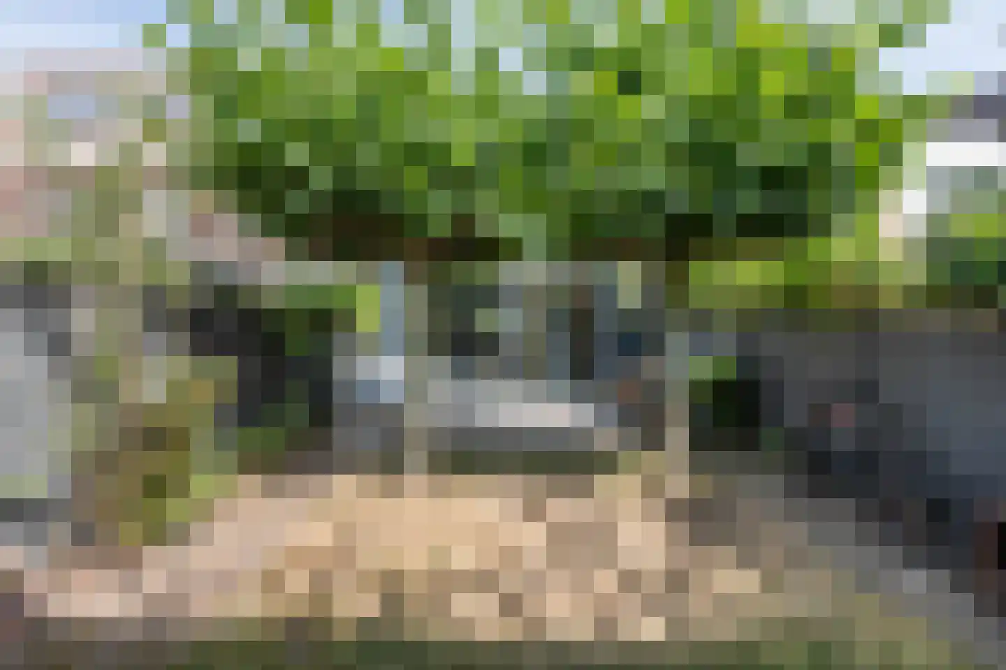 Zocherstraat 14 Haarlem thumbnail 20