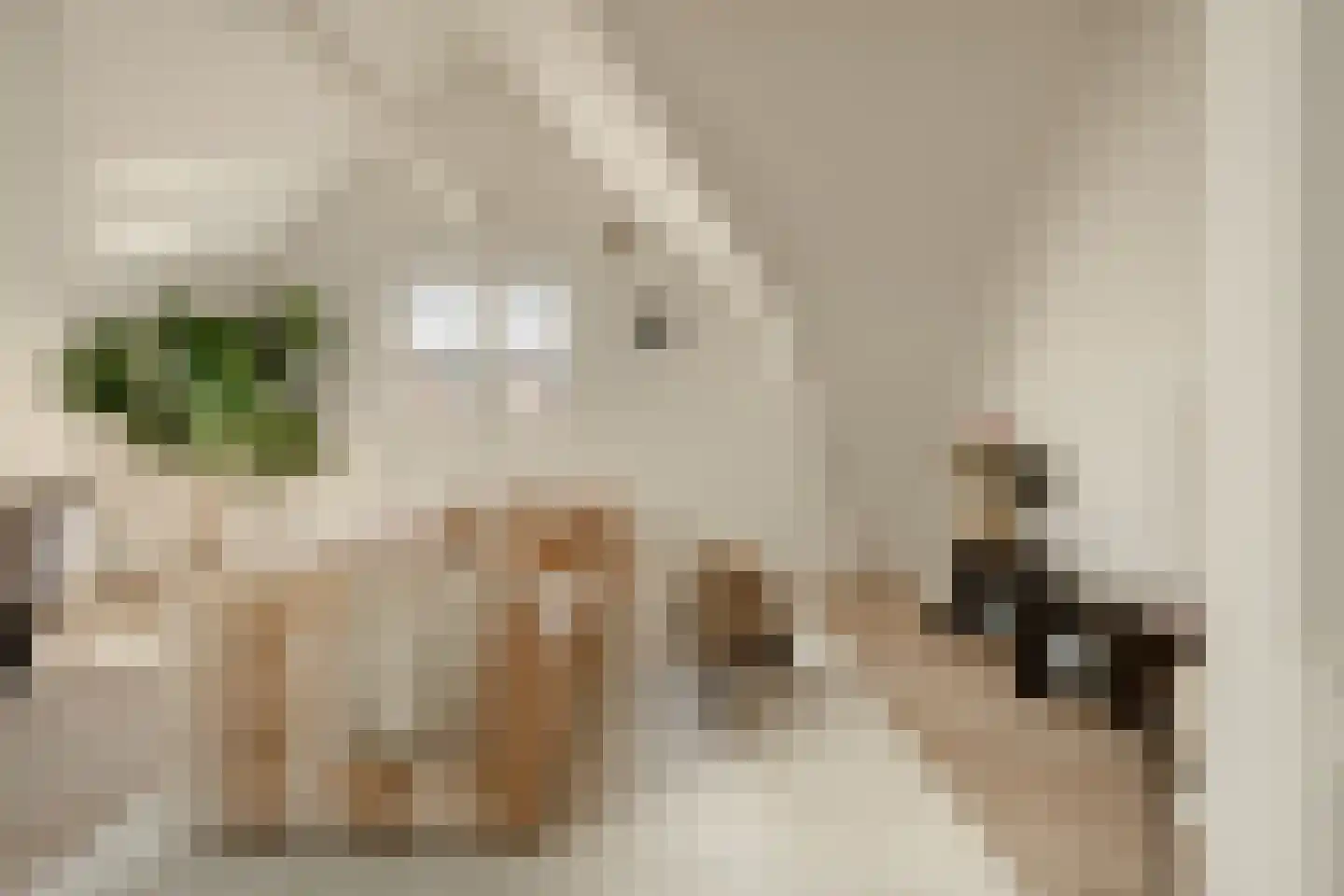 Zocherstraat 18 4 Amsterdam thumbnail 8