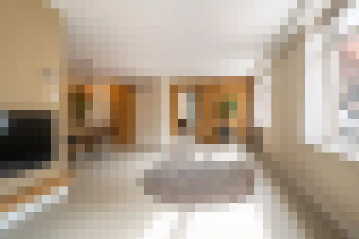 Zocherstraat 2 Alkmaar thumbnail 6