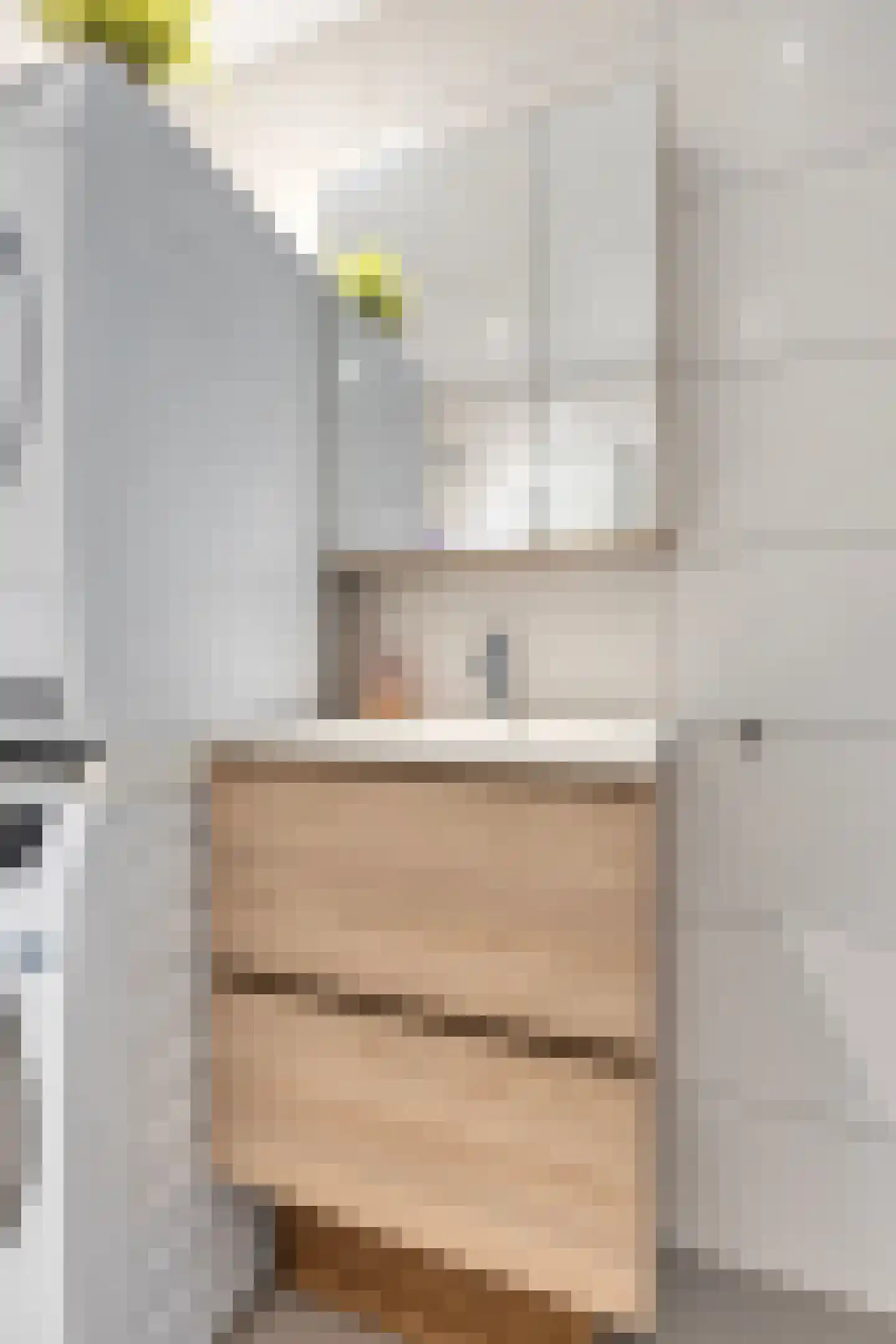 Zocherstraat 2 F Haarlem thumbnail 28