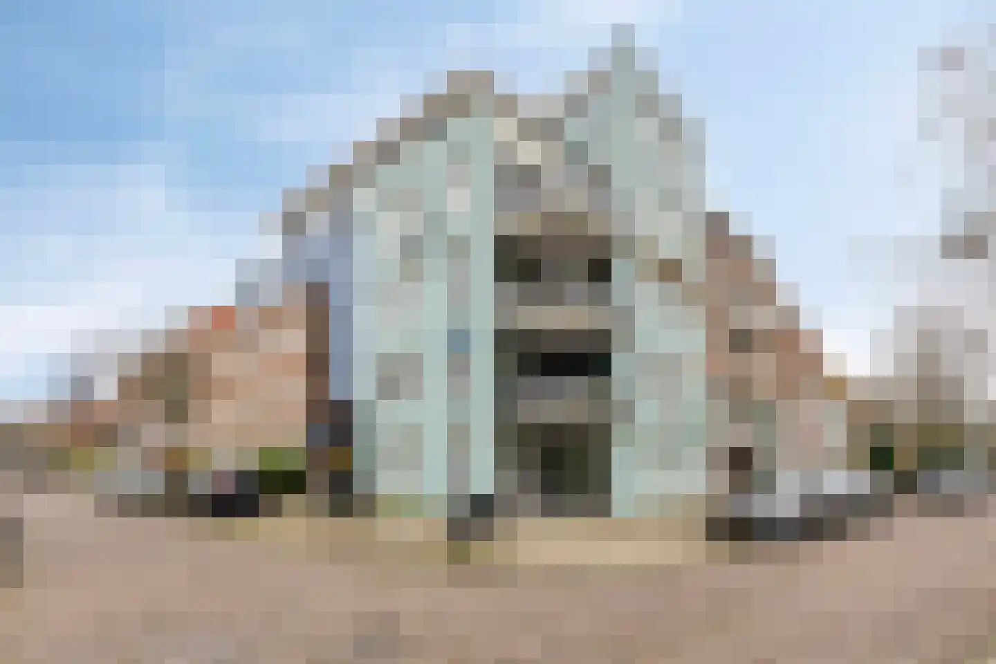 Zocherstraat 2 F Haarlem thumbnail 33