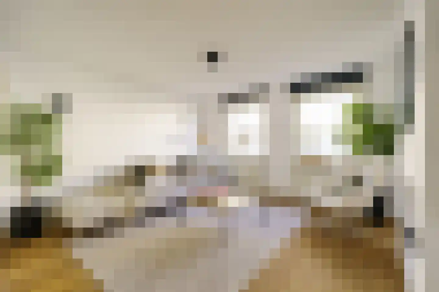 Zocherstraat 2 K Haarlem thumbnail 11