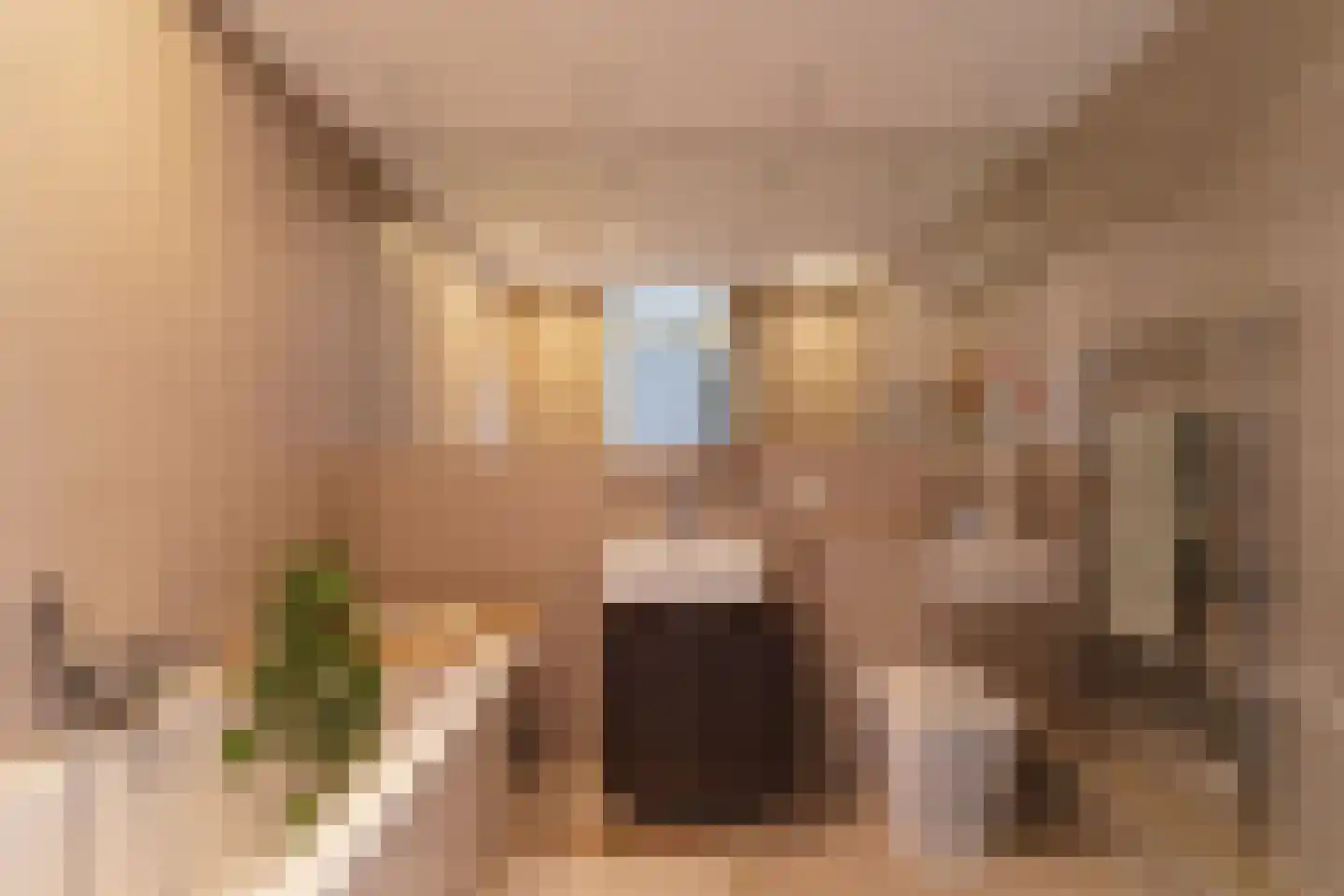 Zocherstraat 2 K Haarlem thumbnail 29