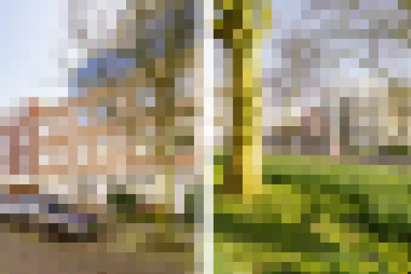 Zocherstraat 2 K Haarlem thumbnail 33
