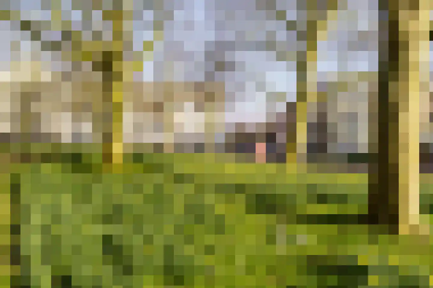 Zocherstraat 2 K Haarlem thumbnail 35