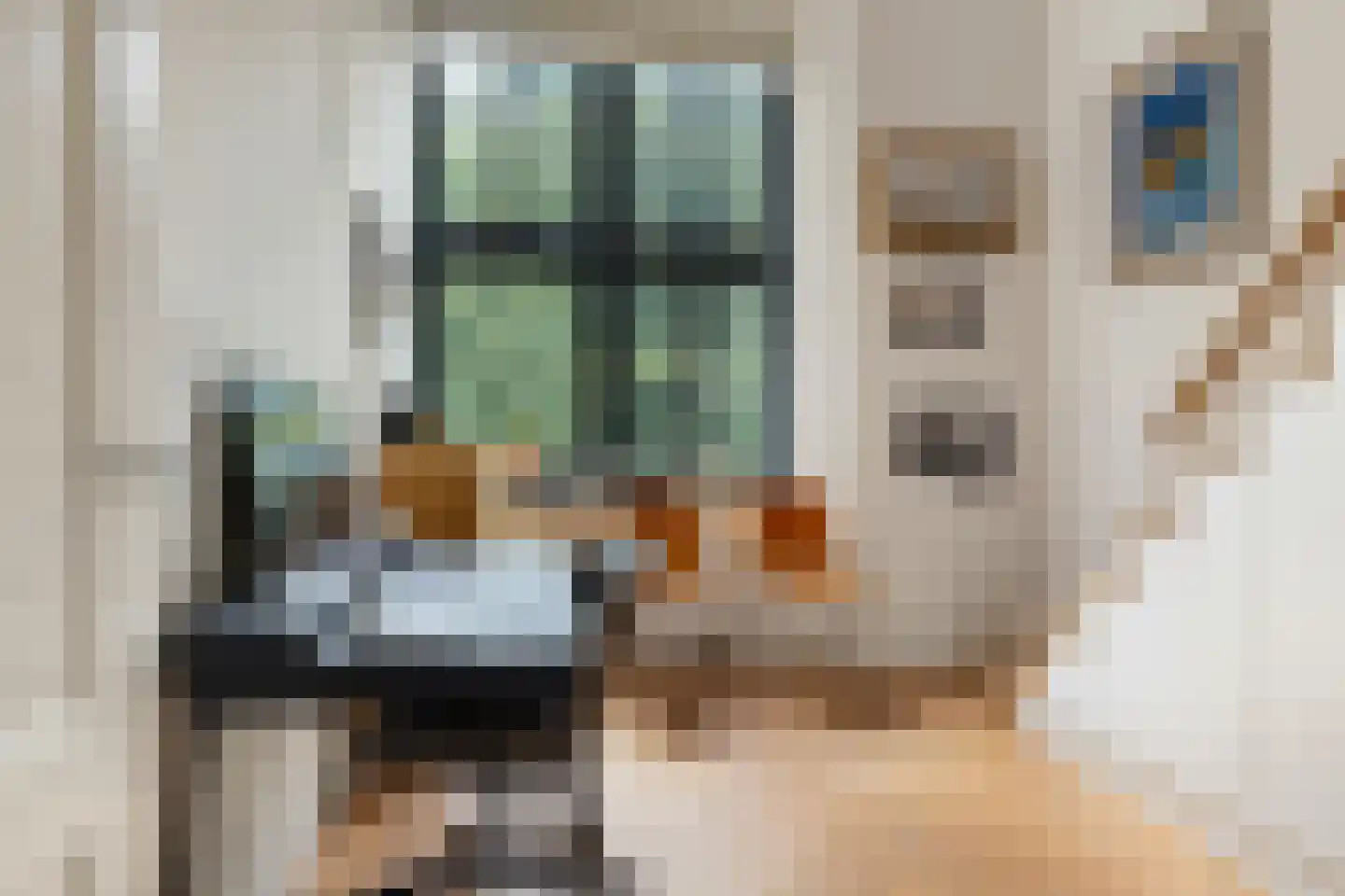 Zocherstraat 23 X Amsterdam thumbnail 18