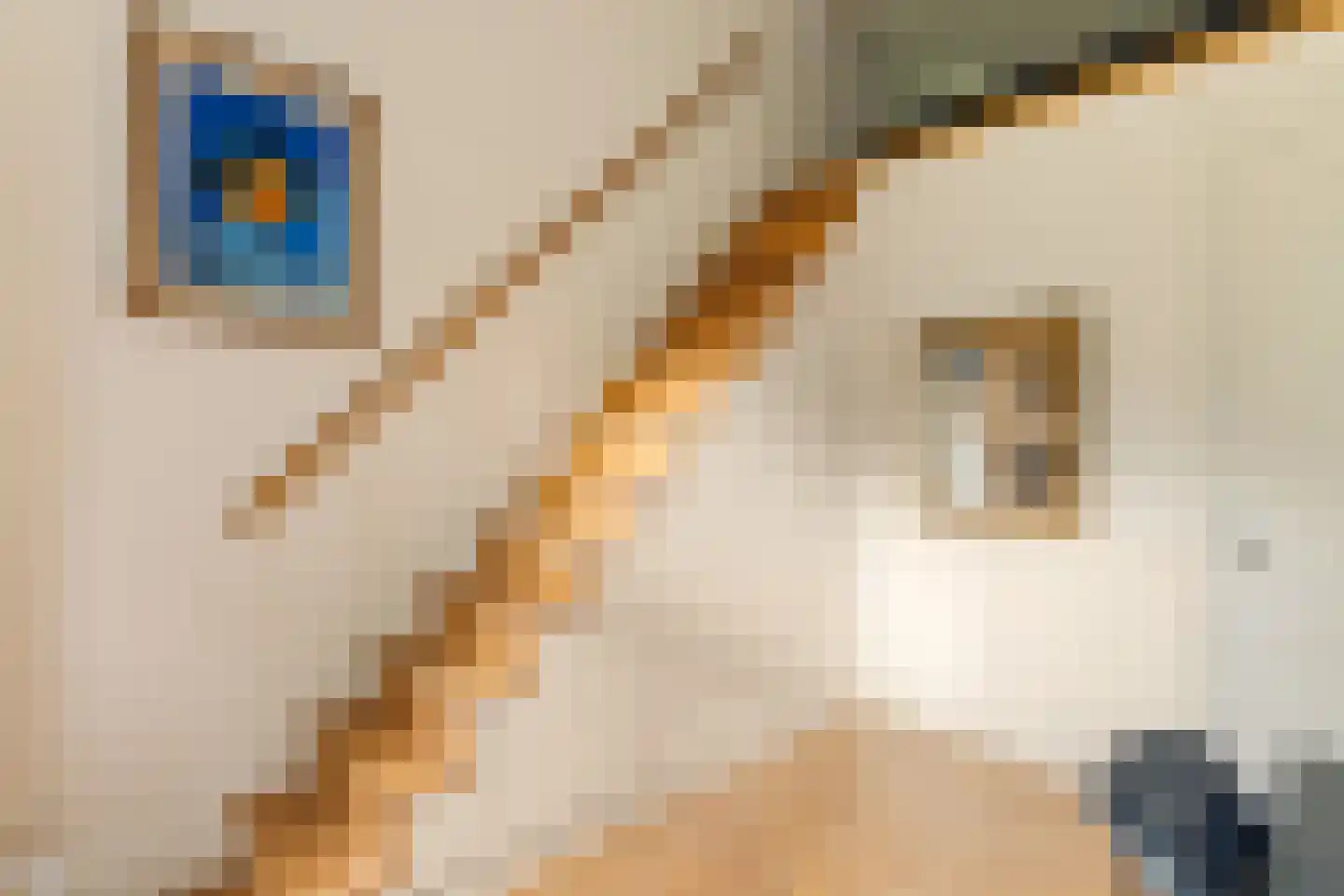 Zocherstraat 23 X Amsterdam thumbnail 21