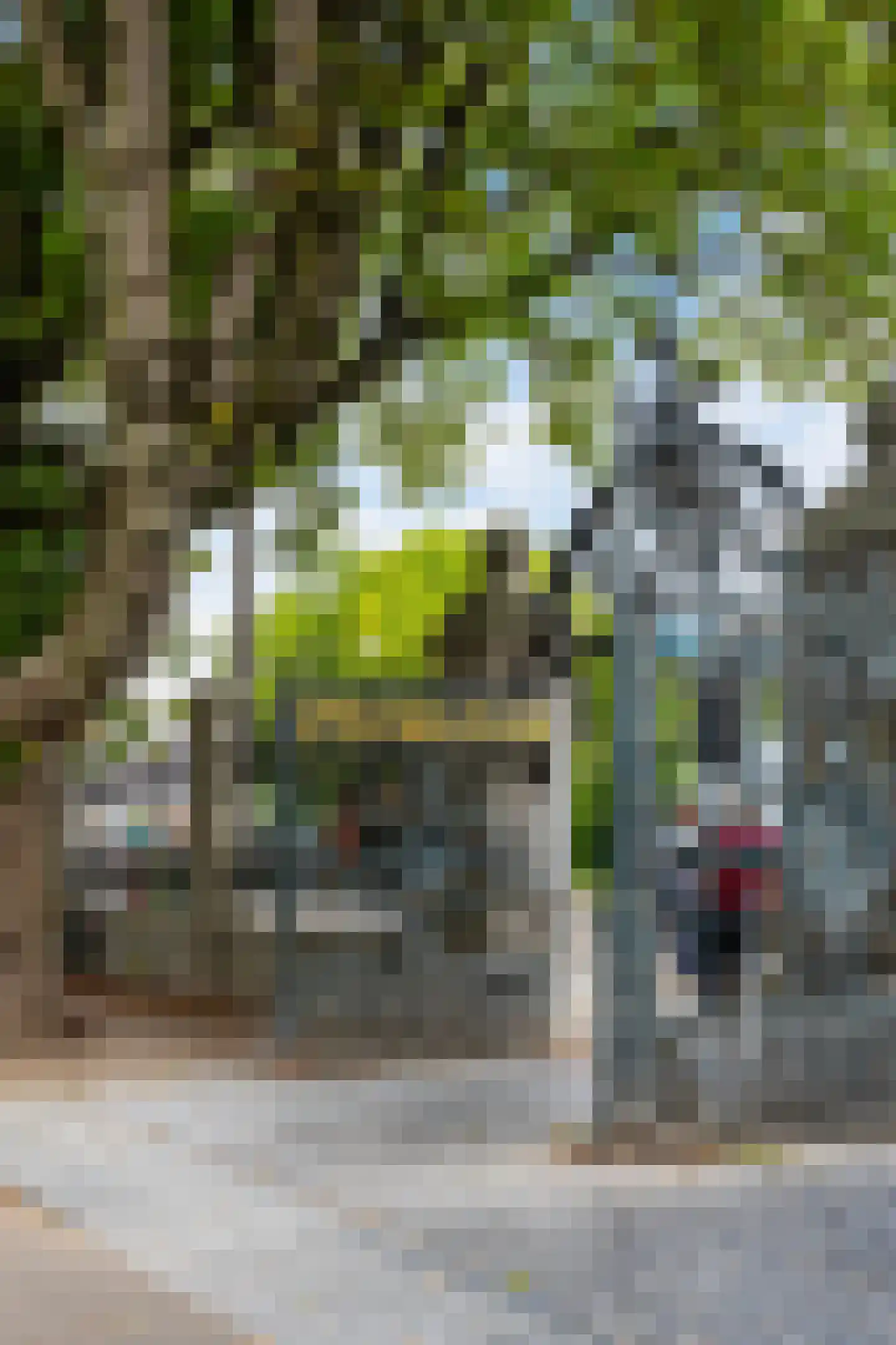 Zocherstraat 23 X Amsterdam thumbnail 28