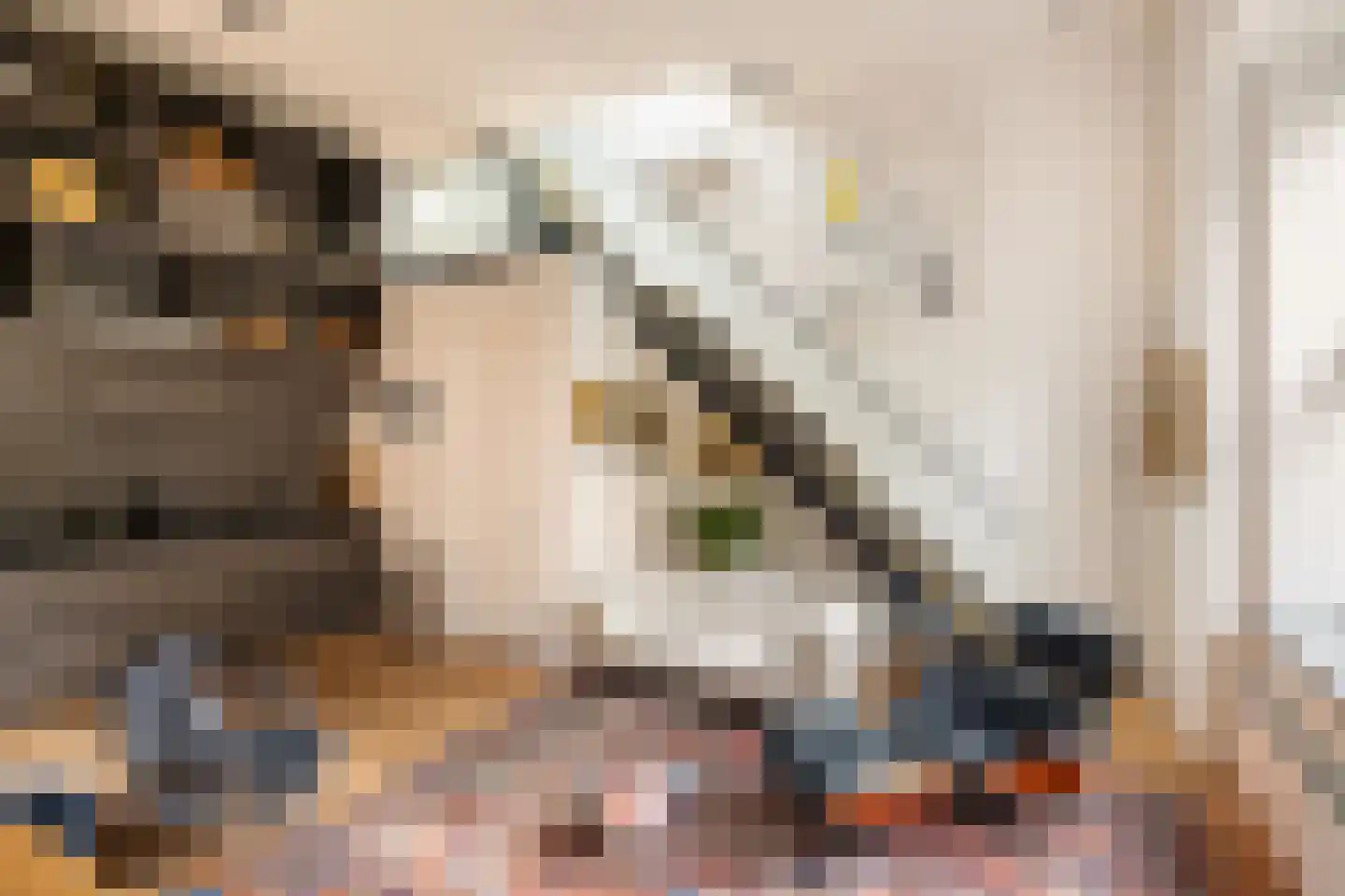 Zocherstraat 23 X Amsterdam thumbnail 6