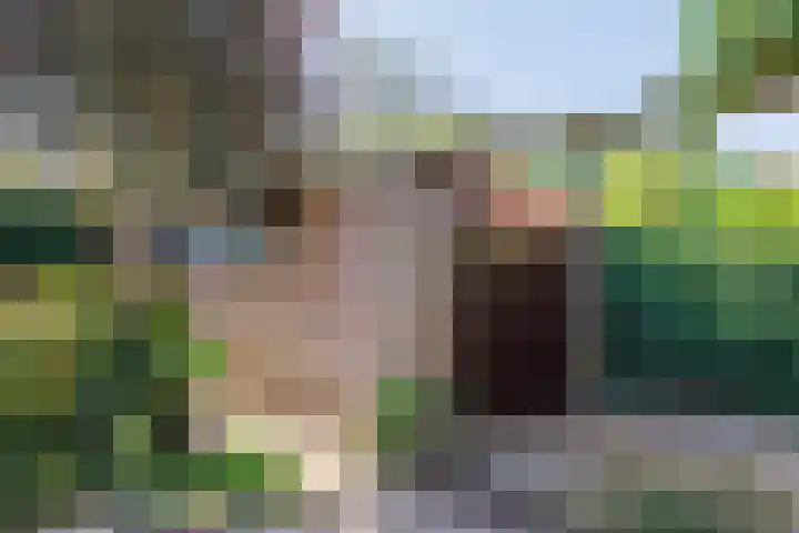Zocherstraat 27 Wijk bij Duurstede thumbnail 4
