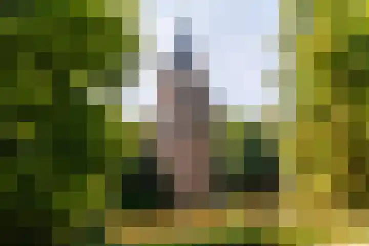 Zocherstraat 27 Wijk bij Duurstede thumbnail 51