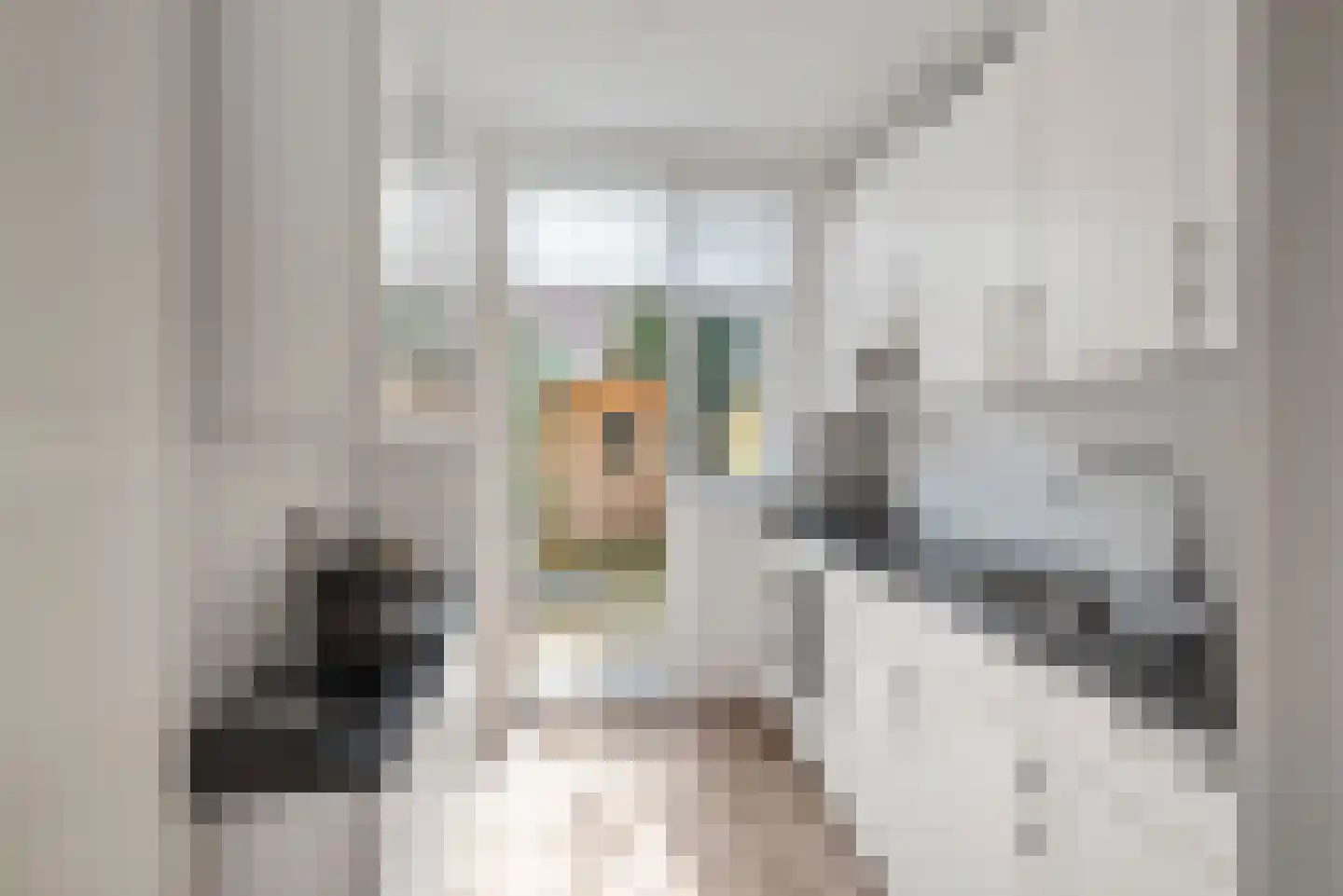 Zocherstraat 28 Haarlem thumbnail 17