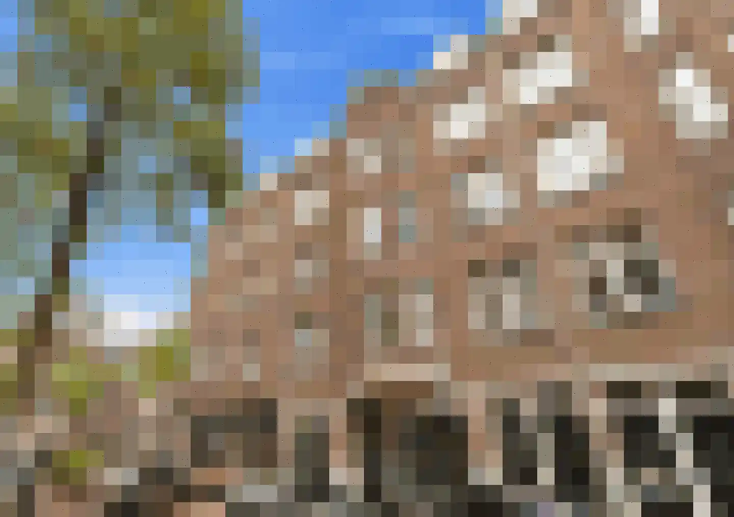 Zocherstraat 3 2 Amsterdam