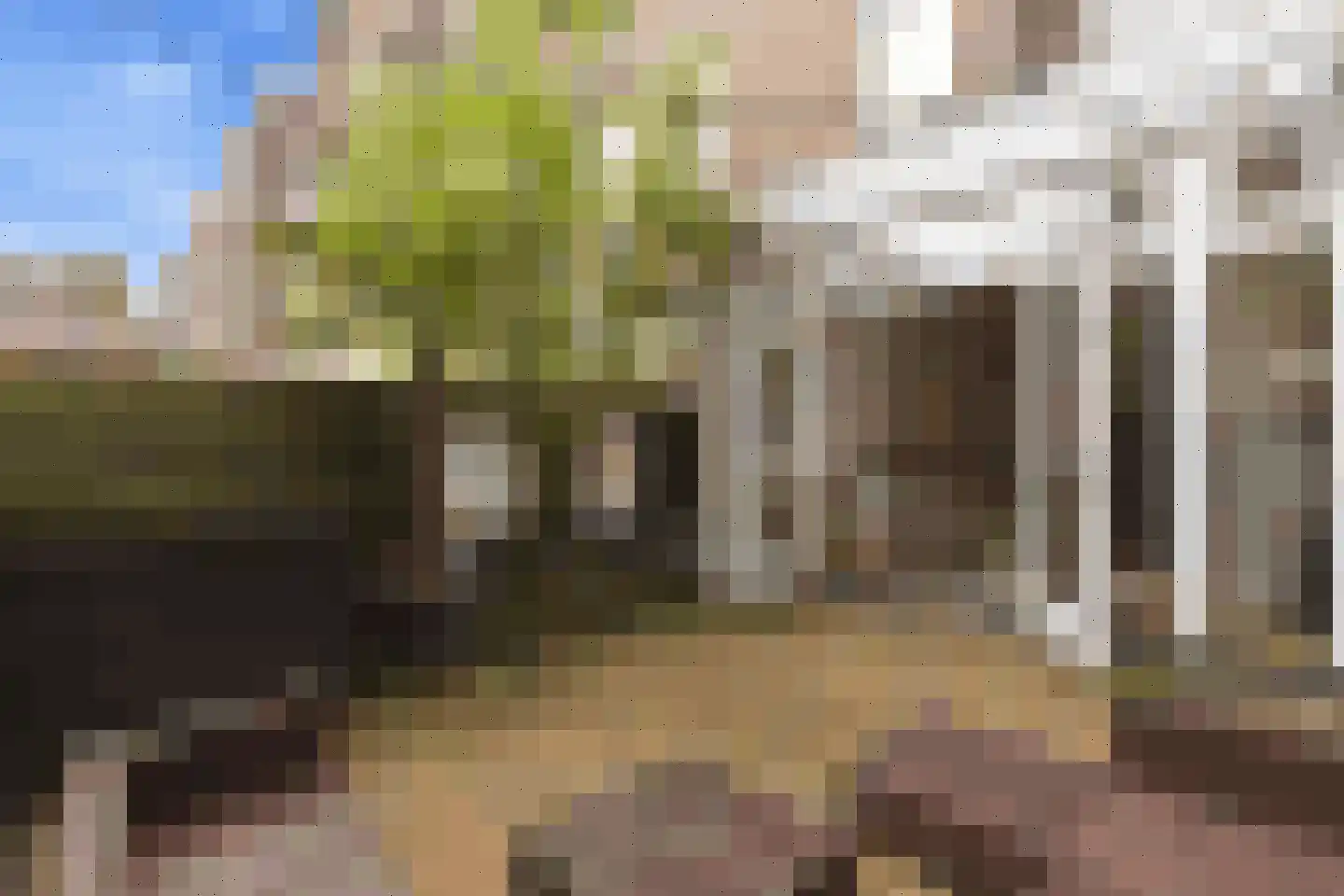 Zocherstraat 3 2 Amsterdam thumbnail 23