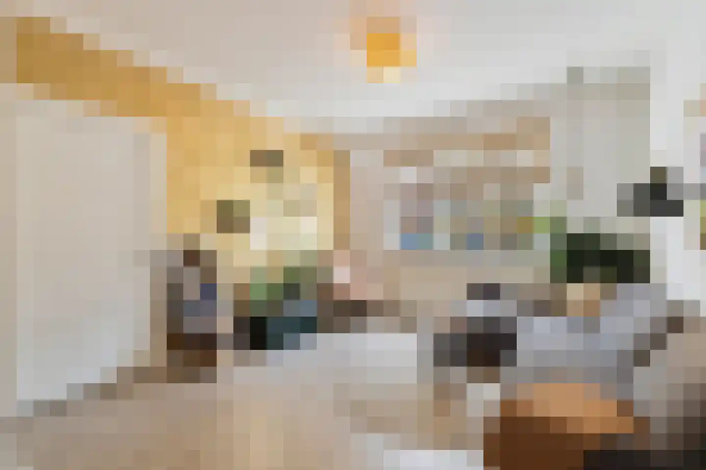 Zocherstraat 36 Alkmaar thumbnail 11