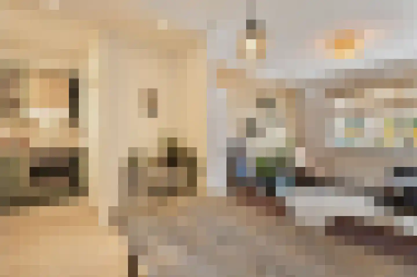 Zocherstraat 36 Alkmaar thumbnail 21