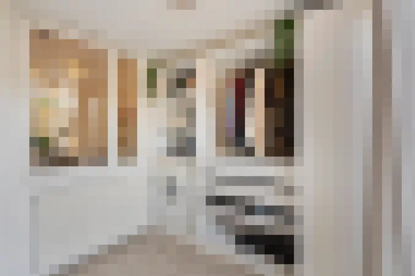 Zocherstraat 36 Alkmaar thumbnail 33