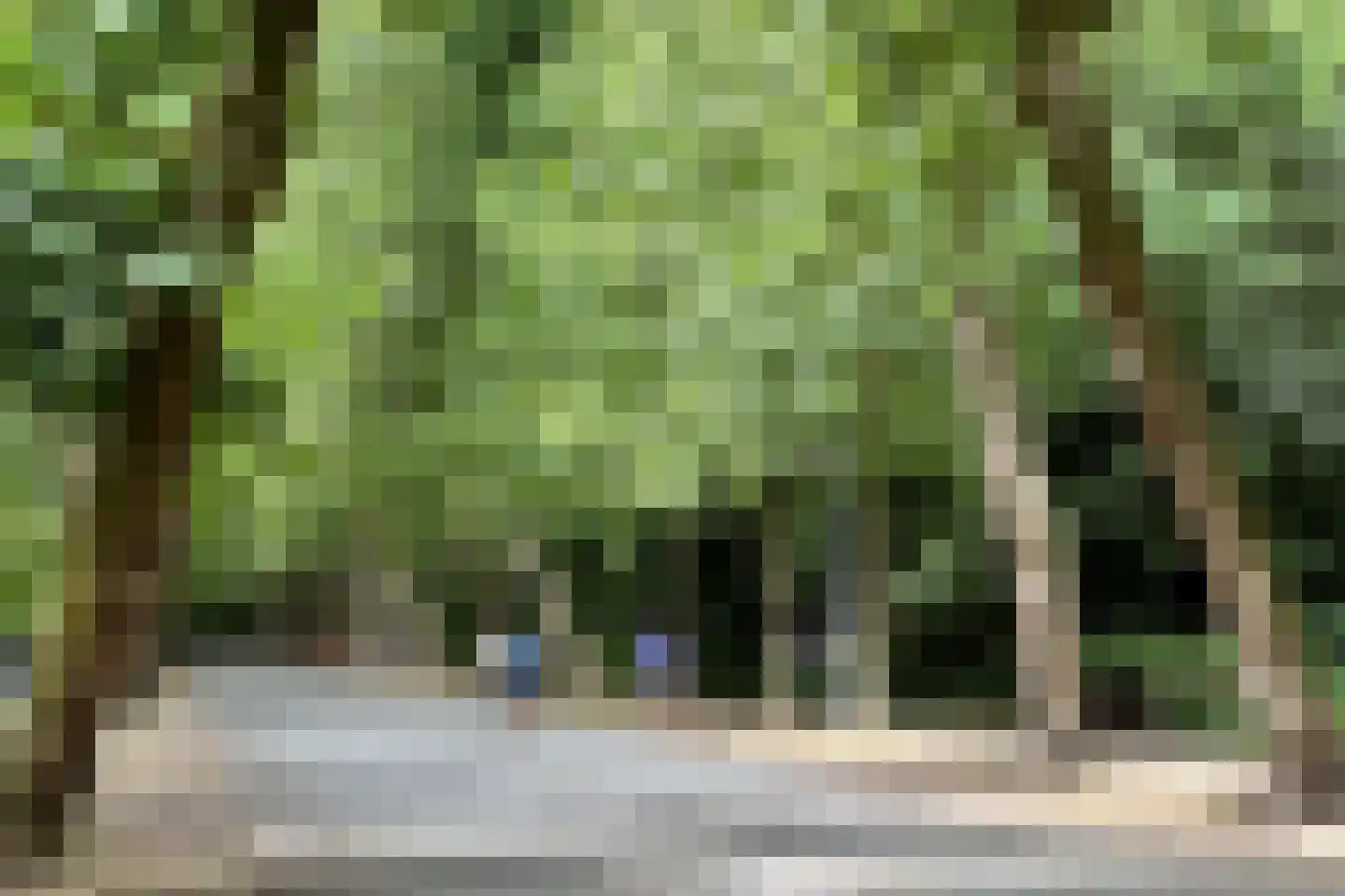 Zocherstraat 40 3 Amsterdam thumbnail 29