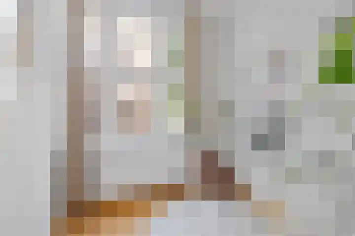 Zocherstraat 41 H Amsterdam thumbnail 17