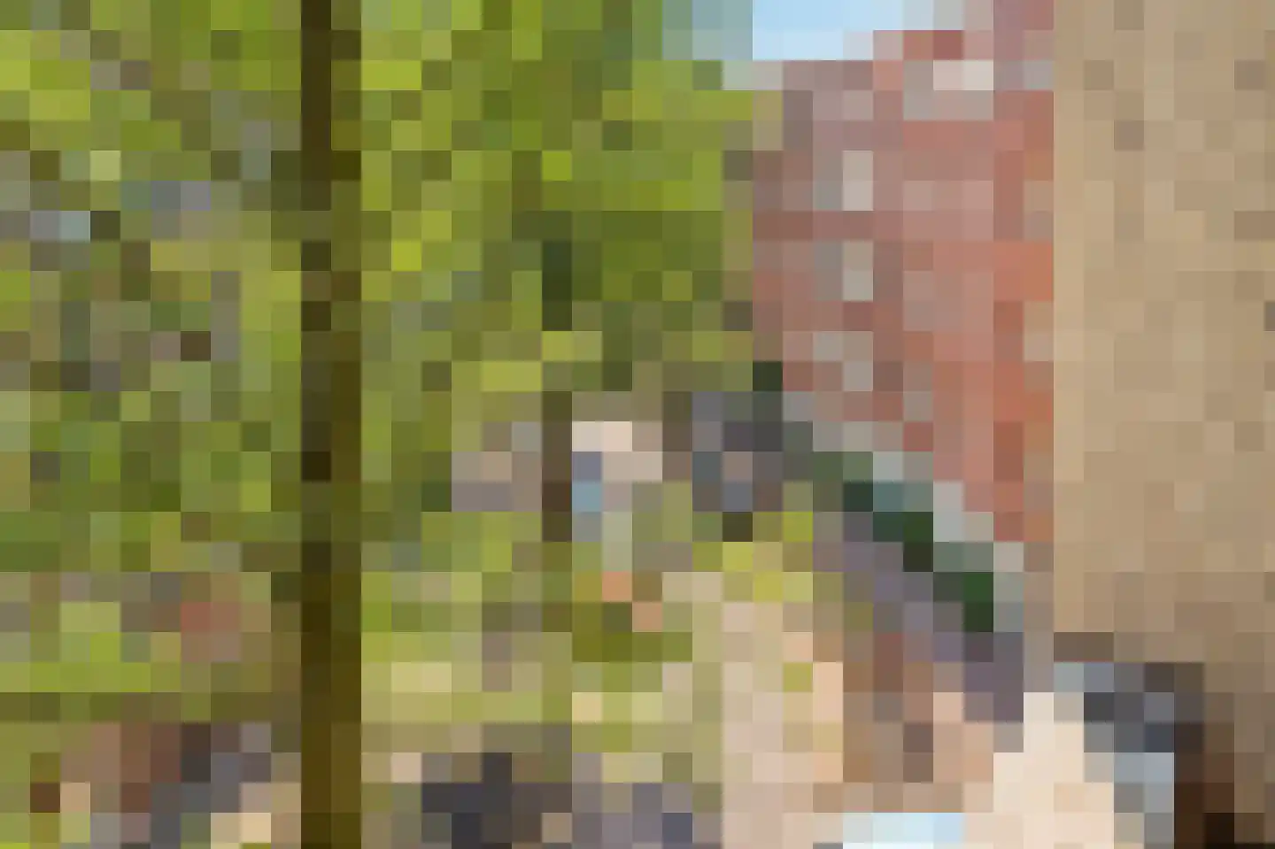 Zocherstraat 46 Amsterdam thumbnail 31