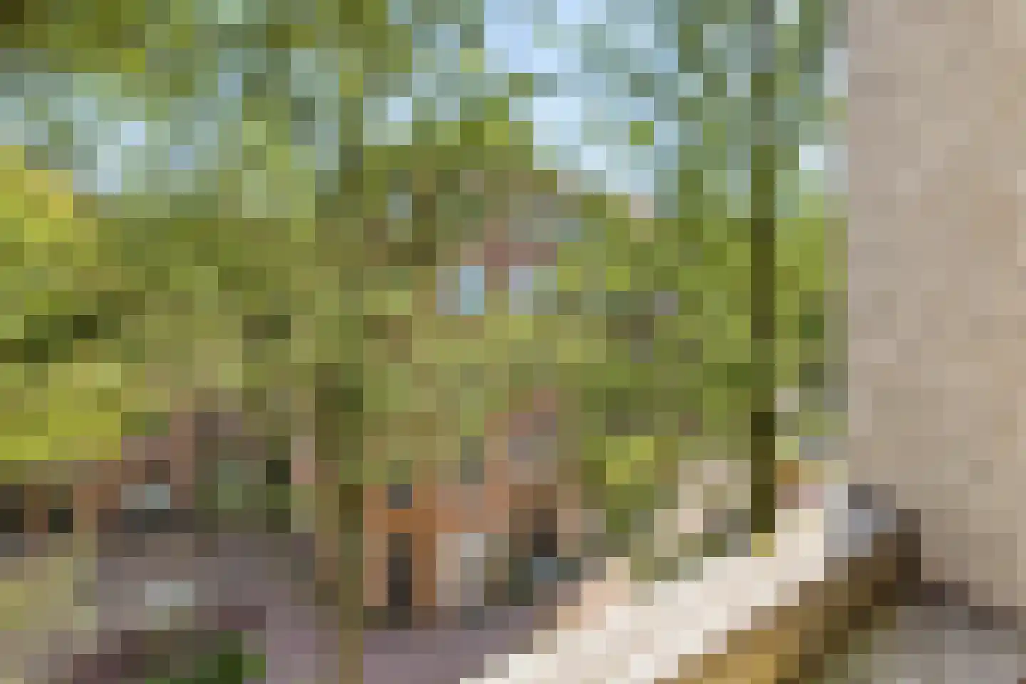 Zocherstraat 46 Amsterdam thumbnail 7