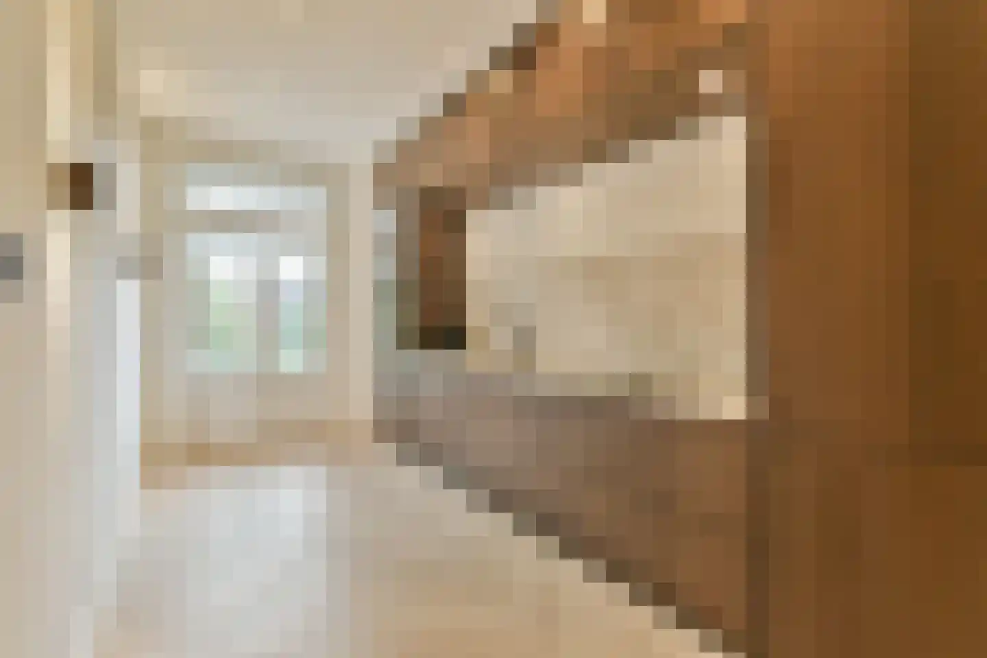 Zocherstraat 5 2 Amsterdam thumbnail 12