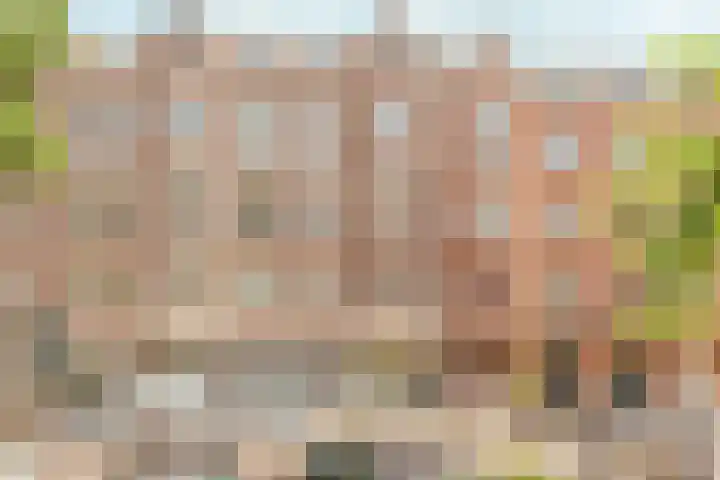 Zocherstraat 5 2 Amsterdam thumbnail 21