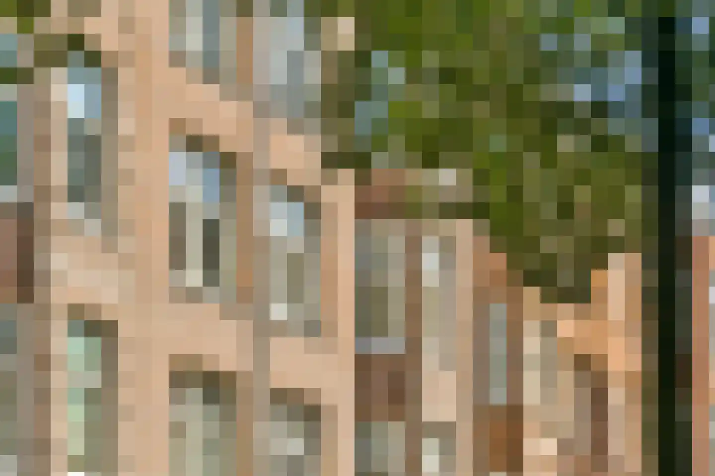 Zocherstraat 5 2 Amsterdam thumbnail 26