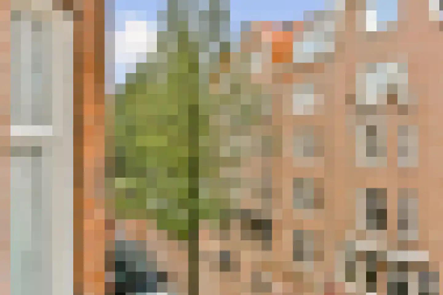 Zocherstraat 5 2 Amsterdam thumbnail 27